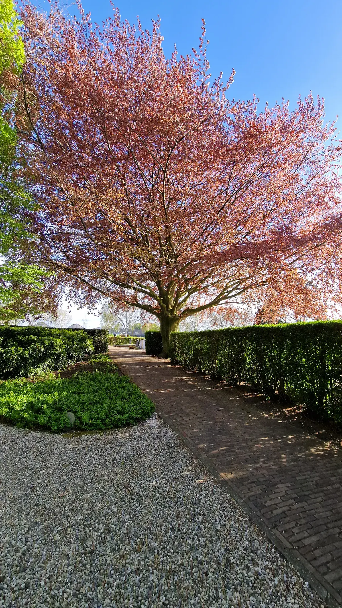 Begraafplaats Groene hart