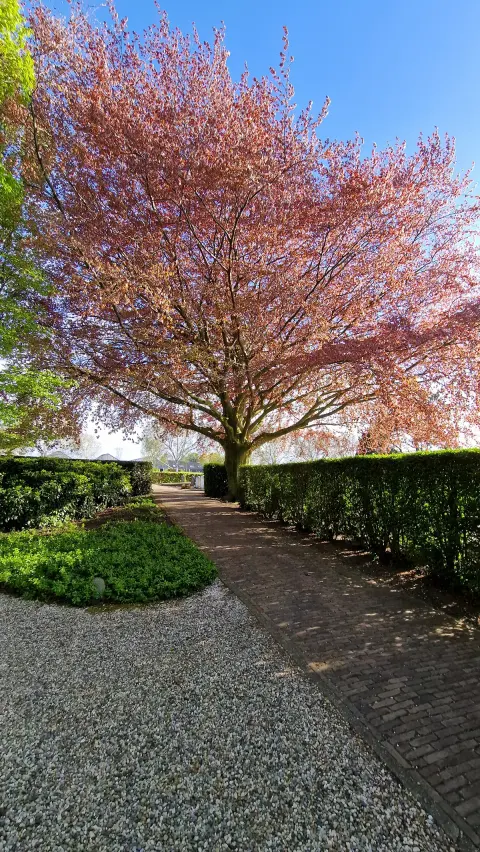 Begraafplaats Groene hart